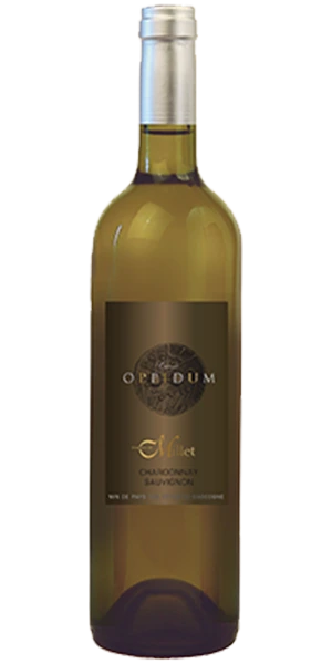 Oppidum