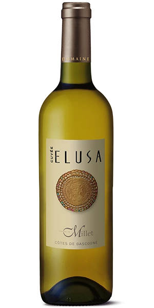 Elusa