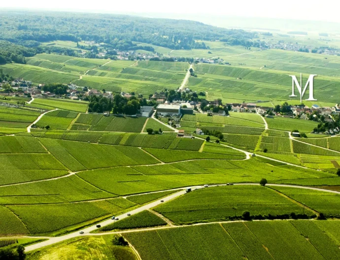 La Montagne de Reims